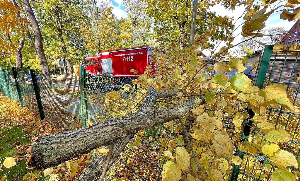 Auch Äste sind schwer und können mühelos Zäune zerdrücken. Die Weißenfelser Feuerwehr hatte mehrerer solcher Einsatzstellen.