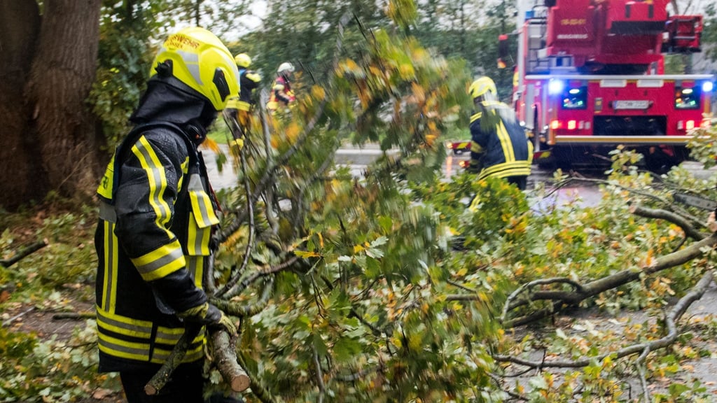 Ein Feuerwehrmann räumt Teile eines Baums von einer Straße.