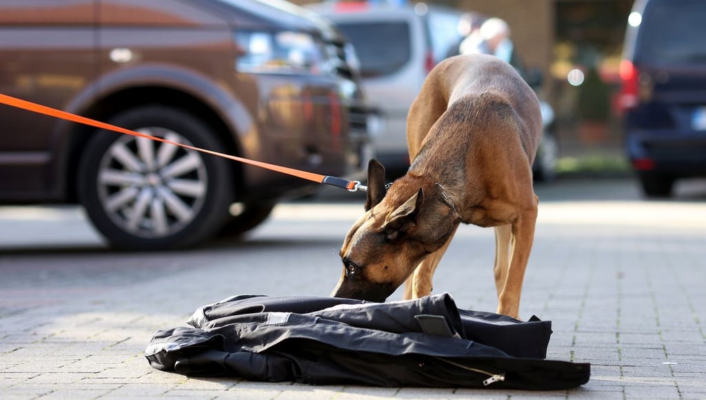 Spürhunde, sogenannte Mantrailer, wurden auf der Suche nach Dirk Brünker eingesetzt.