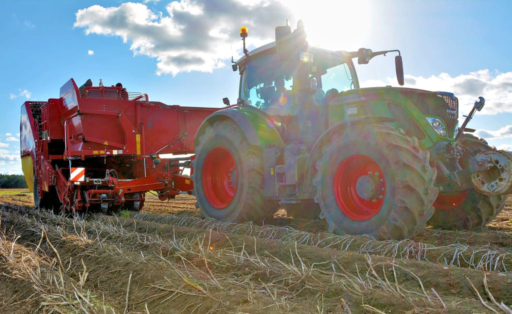 Der Fendt-Traktor zieht den Kartoffelroder zwischen Trüstedt und Hemstedt über das Feld. Rumänische Arbeitskräfte sortieren auf der Maschine vor, trennen Kartoffeln von Steinen und Erdbrocken. Zwischen 1,5 und 4,5 Hektar pro Tag werden so abgeerntet.