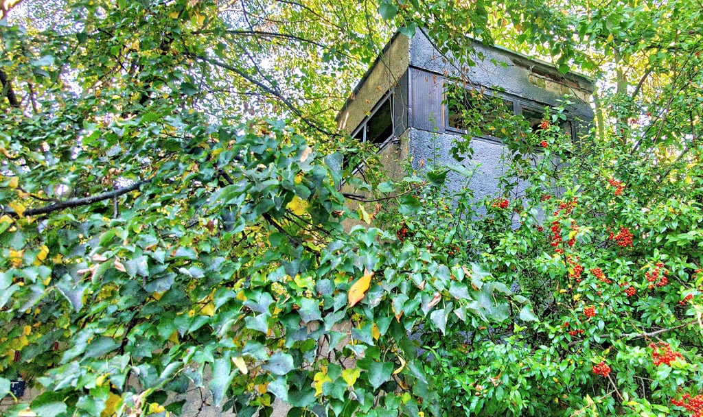 Ein kleines Stück der Mauer um die frühere Stasi-Bezirksbehörde am Gimritzer Damm hat bis heute überlebt, versteckt hinter wilden Hecken.