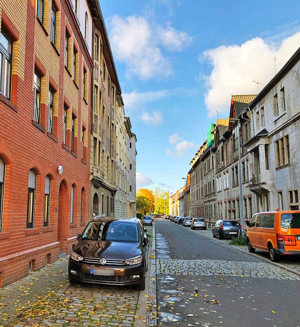 In dieser Straße drohten 15 verwahrloste Katzen zu verhundern.