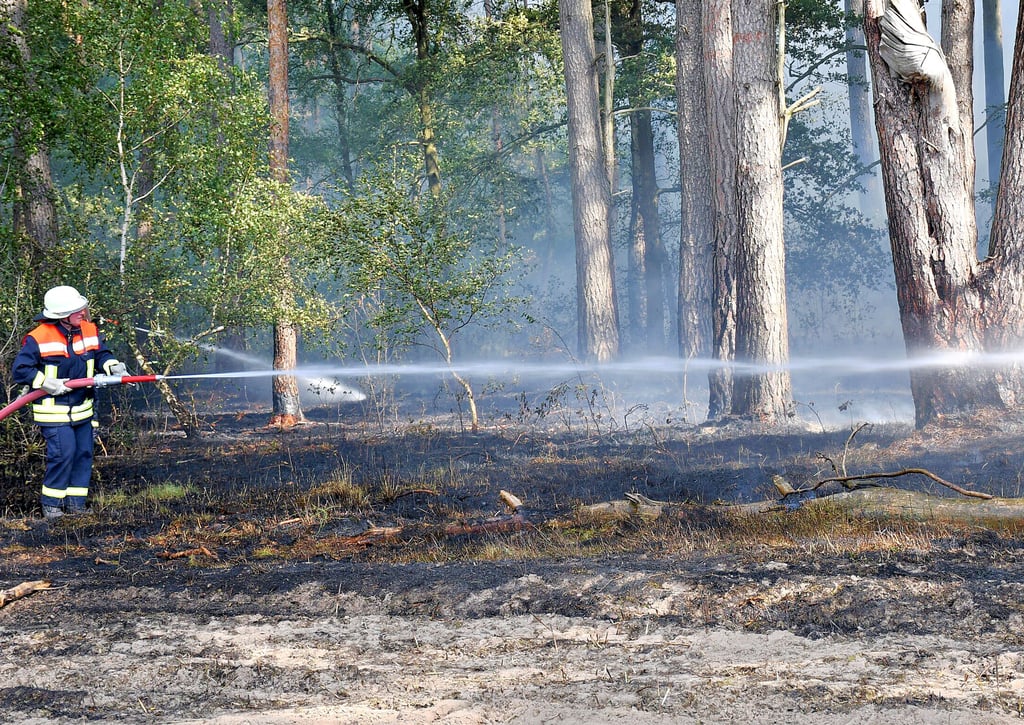 Beim Waldbrand zwischen Schrampe und Kaulitz wurden im August rund 150 000 Liter Wasser benötigt.