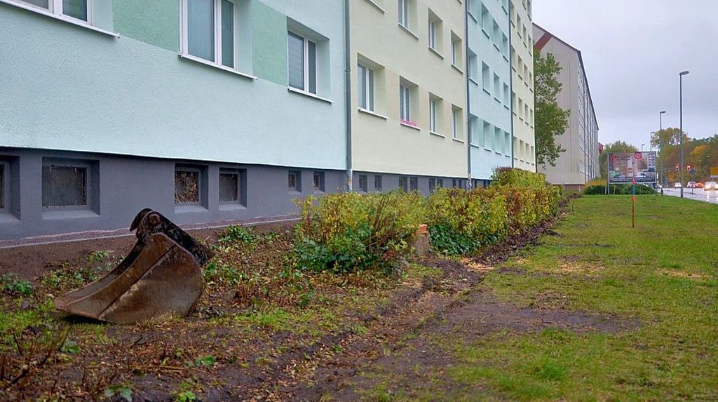 An der Ernst-Thälmann-Straße in Salzwedel sind nur noch Baumstummen zu sehen.