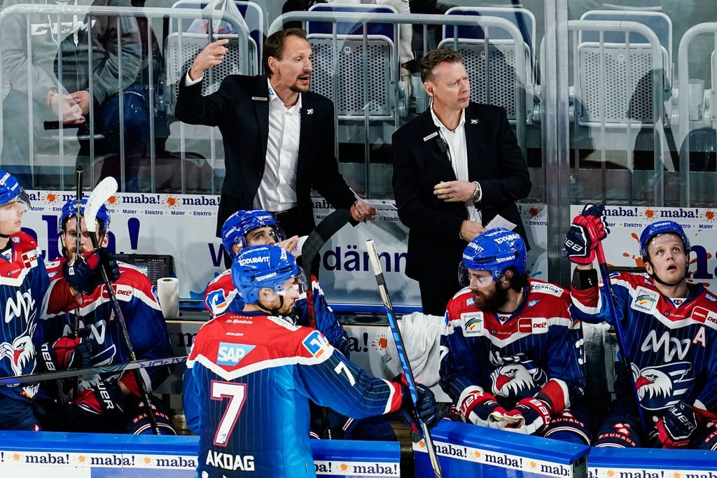 Mannheims Trainer Pavel Gross steht gestikulierend an der Bank.