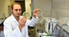 Im Labor des Studiengangs „Physician Assistance“ wertet ein Student eine Petrischale aus dem Inkubator aus.