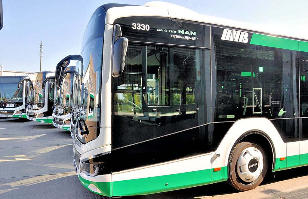 Die Magdeburger Verkehrsbetriebe setzen seit einigen Wochen 26 neue Busse der Marke MAN ein. Es handelt sich um den Typ Lion's City. Bei ihnen ist – wie zuerst bei einigen geleasten Bussen des gleichen Typs – die rote Linie verschwunden.