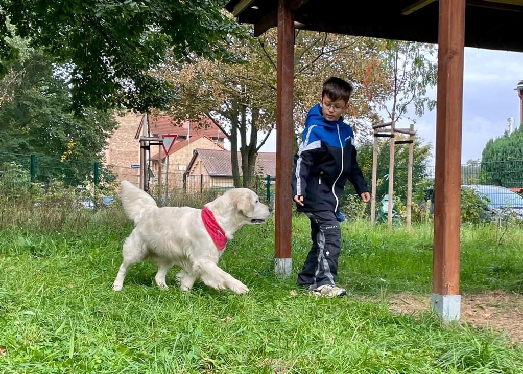 Ein Assistenzhund könnte Friedrich helfen, selbstständiger durchs Leben zu gehen.