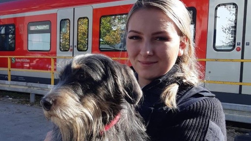 Der Rauhaardackel kam nach seinem Solotrip in der S-Bahn in die Obhut der Bundespolizei.