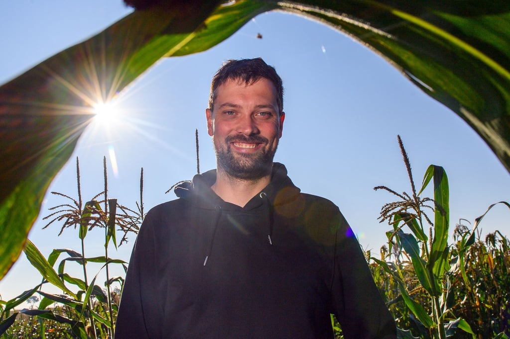 Ackerbauer Phillip Krainbring steht in seinem Maisfeld. Der junge Landwirt aus der Börde experimentiert mit Mais und erklärt seine Arbeit online.