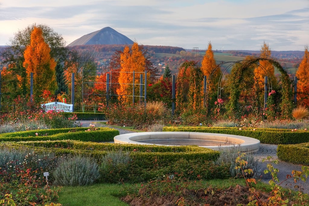 Das Sangerhäuser Rosarium im Herbst