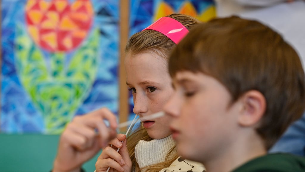 Wegen des sich beschleunigenden Infektionsgeschehens will der Salzlandkreis nach dem Ende der Herbstferien an Schulen eine tägliche Testpflicht einführen.