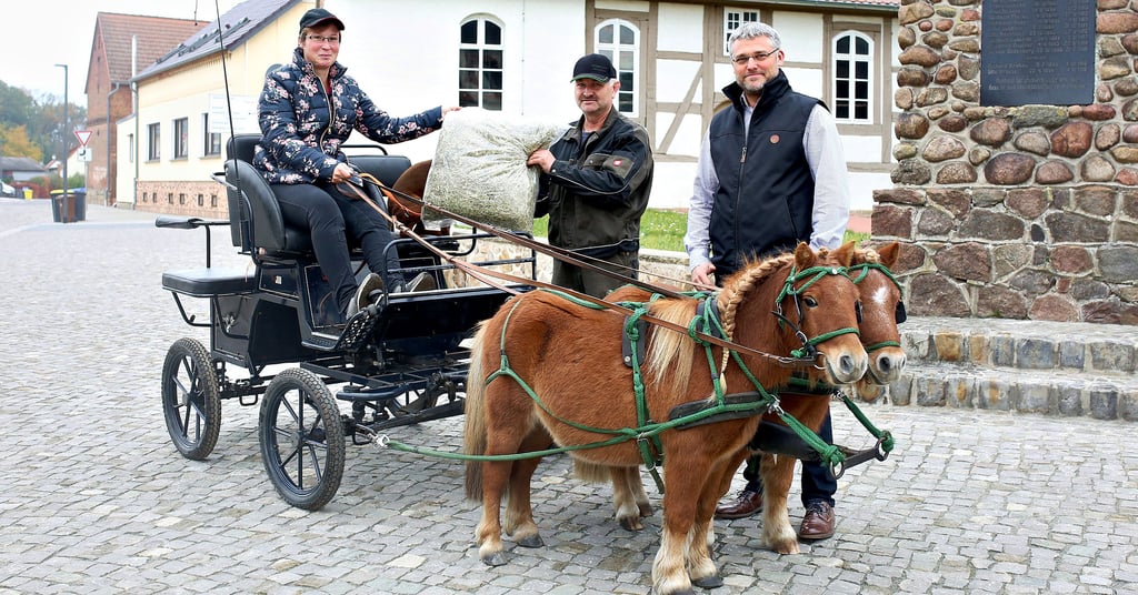 Ranieser Dorfleben: Christin Schmidt ist mit den Pferden Frodo Beutlin (li.) und Feivel Mauswanderer im Ort unterwegs. Daneben sind Ortsbürgermeister Rüdiger Kunze (Mitte) und Christian Schlitzberger.