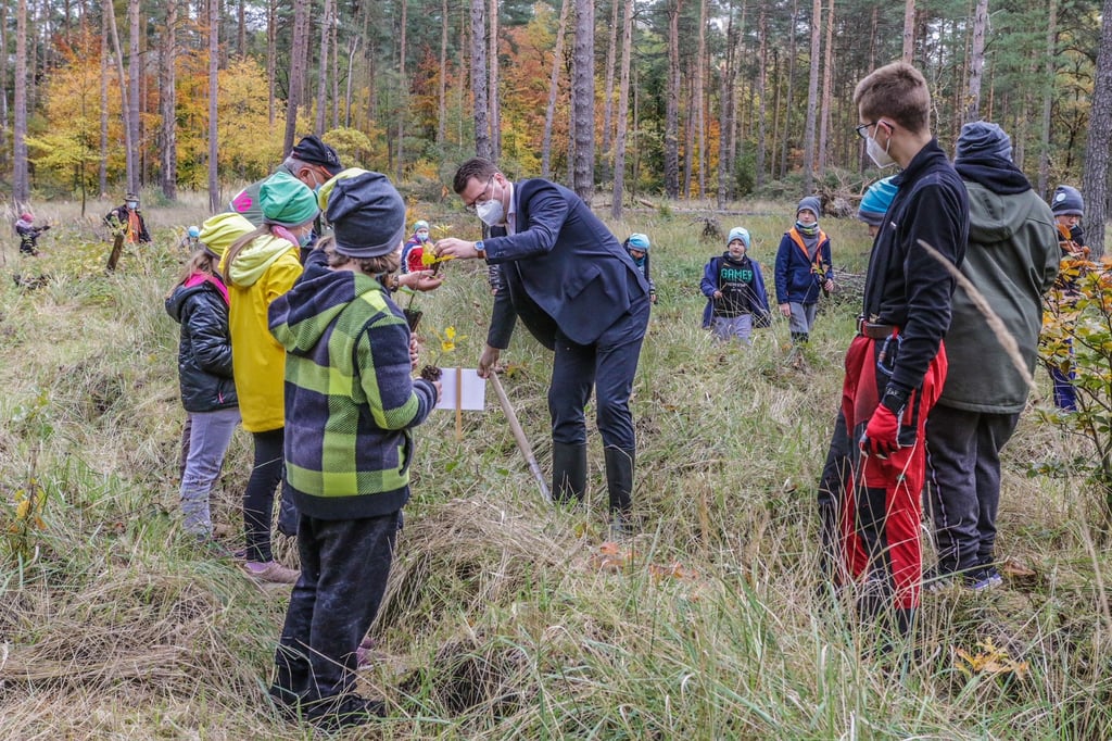 Pflanzaktion im Wald zwischen Lubast, Gniest und dem Ochesenkopf.