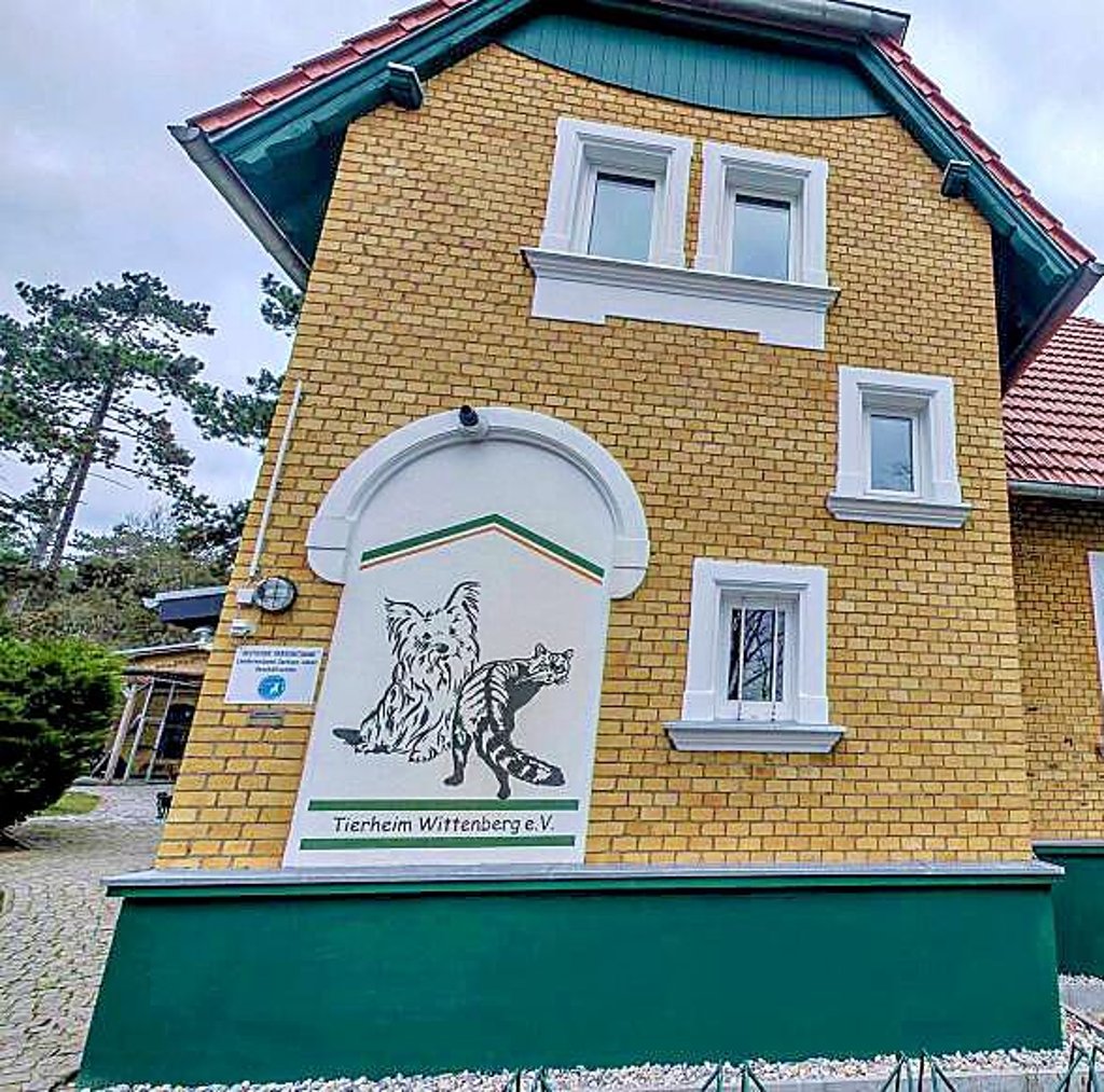 Tierheim in Wittenberg