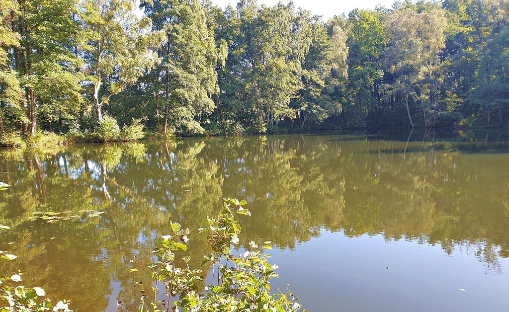 Der Kohlenschacht damals (kleines Foto) und heute – ein Teich, umsäumt von Bäumen. Nichts erinnert mehr an das, was hier einmal war.
