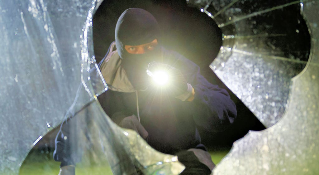 Um Diebe auszubremsen, gibt es eine Reihe von der Polizei empfohlene Maßnahmen, die Eigentümer umsetzen können.