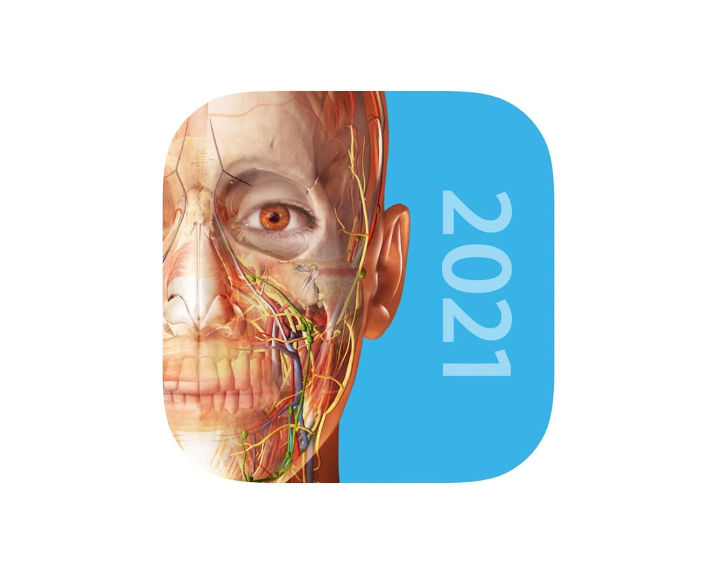 Mit „Atlas der Humananatomie 2021“ erhalten Nutzer Einblick in den menschlichen Körper.