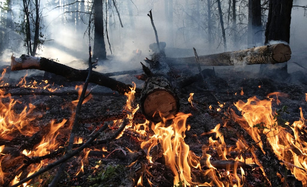 Waldbrand im August im Gebiet Gorny Ulus (Jakutien).