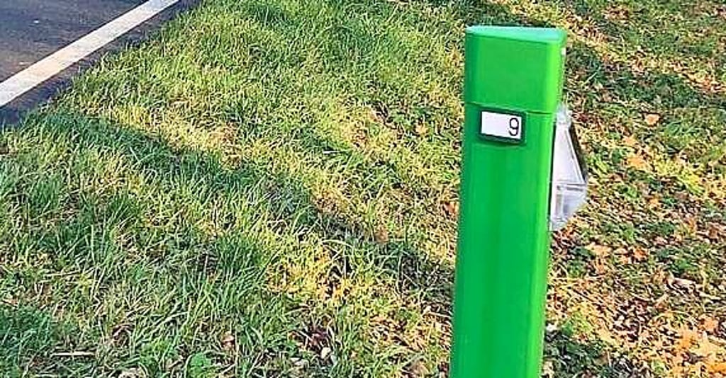 Der grüne Pfosten steht an der B 107 und ist mit einem solarbetriebenen Wildwarngerät ausgestattet.