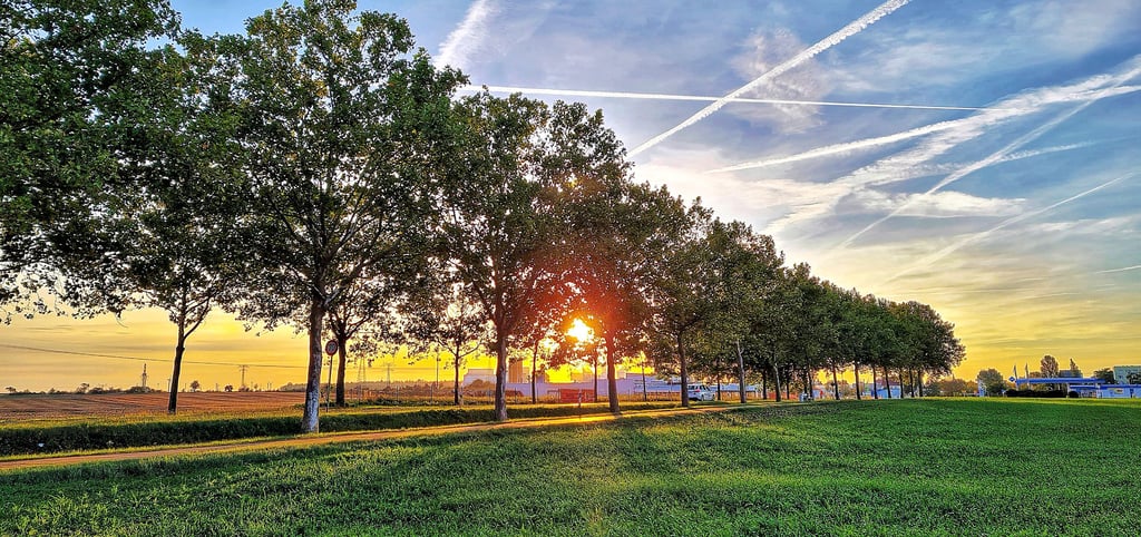 Morgenstimmung zwischen Staßfurt und Löderburg. Es zeigt die Straße nach Löderburg und ist von der Feldstraße Richtung Bfw
