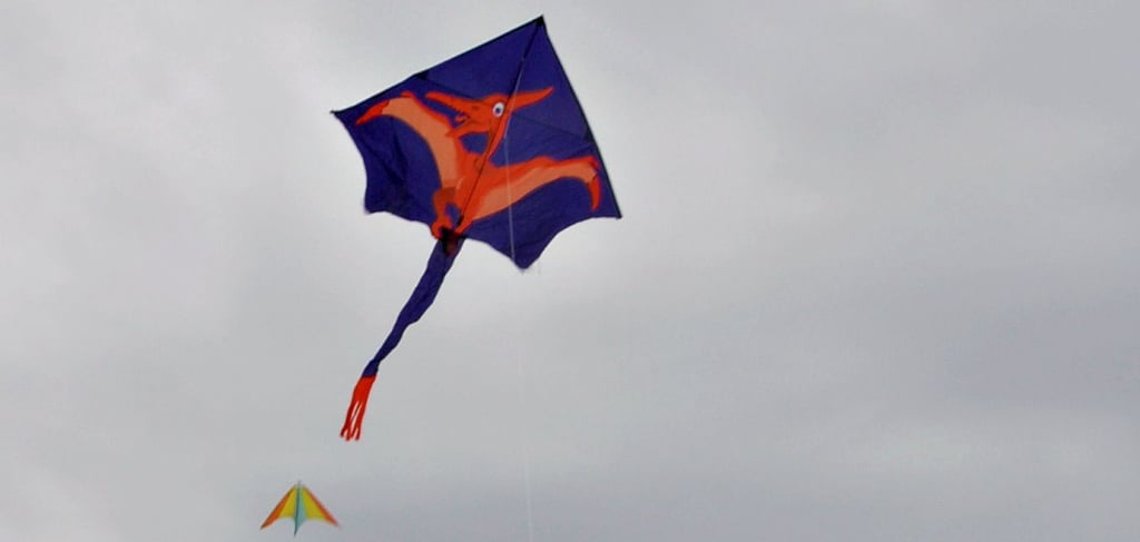 Den Drachen von Max Friedrich Schwarzlose (5) aus Jerchel zierte ein Pteranodon (Flugdinosaurier).Foto: Elke Weisbach