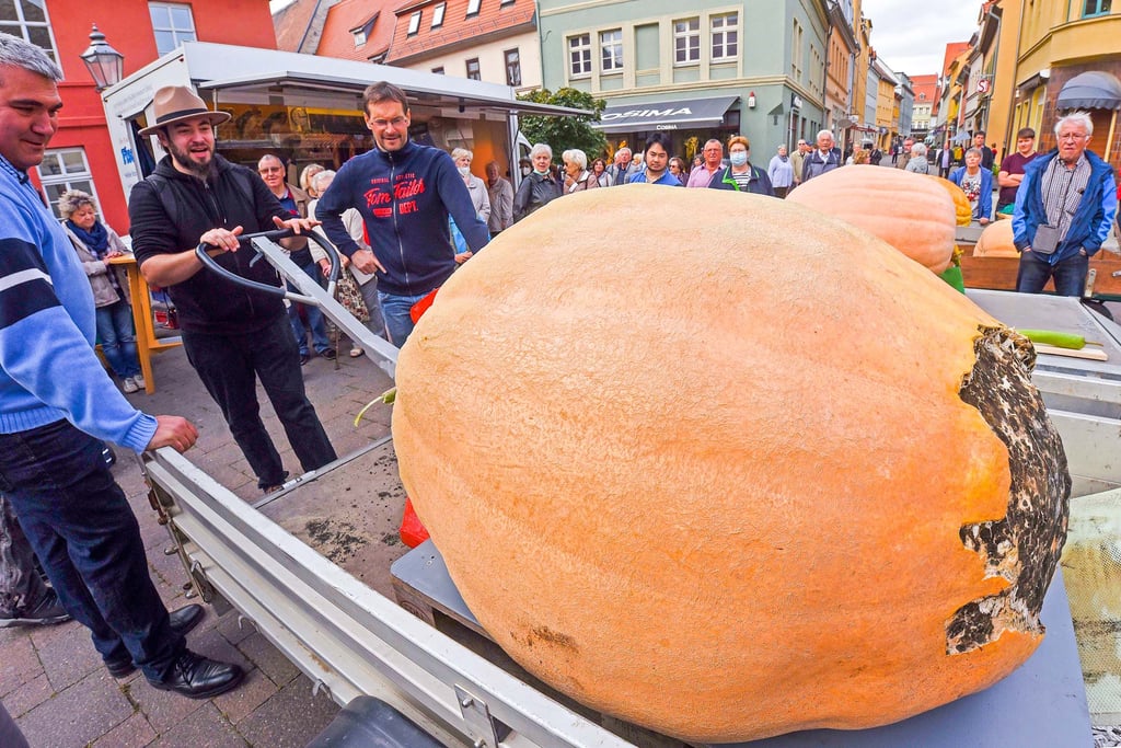 Ein echtes Schwergewicht: Der Kürbis von Ariane Koch brachte 321 Kilo auf die Waage – neuer Veranstaltungsrekord.