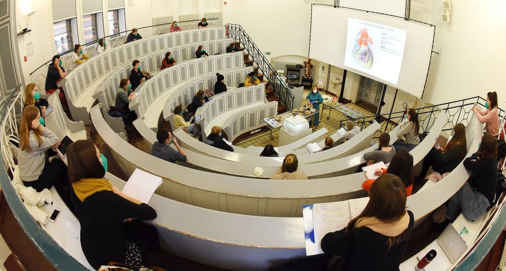Studentinnen und Studenten nehmen an einem Seminar in einem Hörsaal des Universitätsklinikums der Martin-Luther-Universität teil.