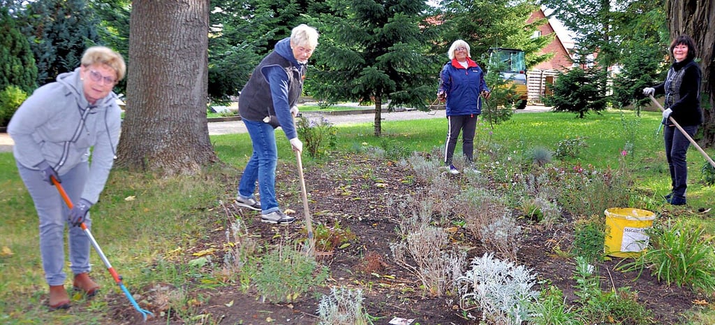 Margit Lemke, Cordula Luther, Bärbel Kizinski und Heidi Pohl (von links) brachten 500 Blumenzwiebeln in die große Wiese und kümmerten sich um die Pflege des Blumenbeetes dort.