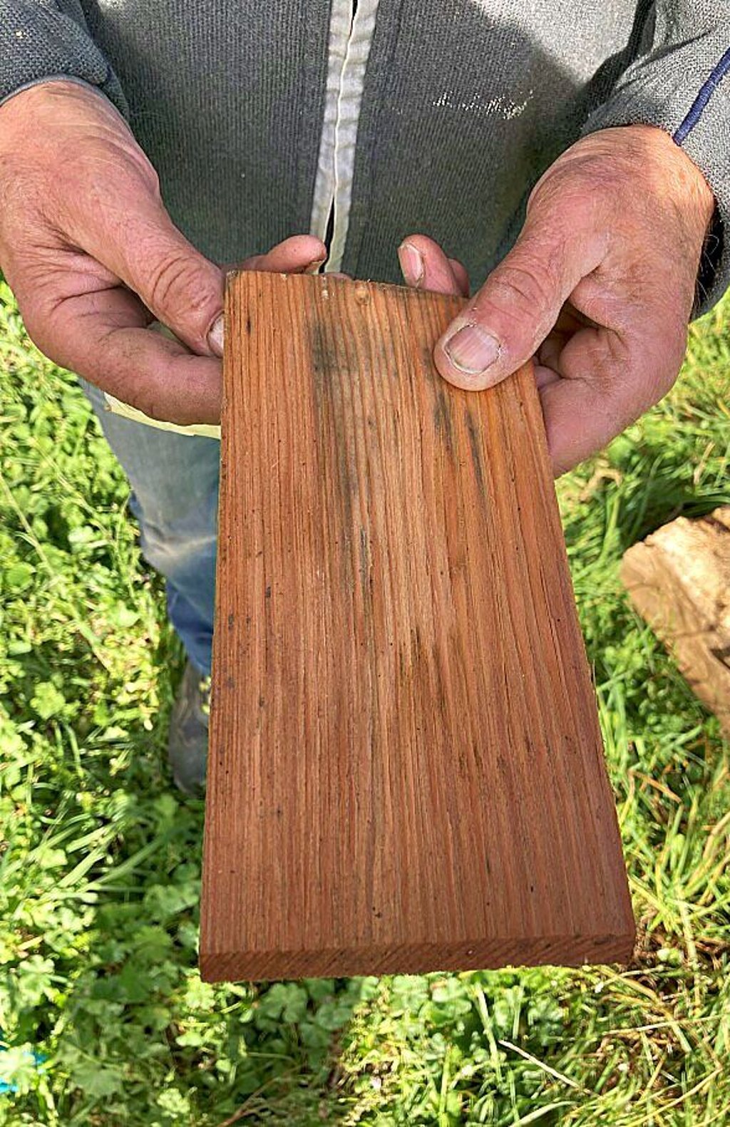Diese Holzschindeln kommen auf das Dach der Bockwindmühle.