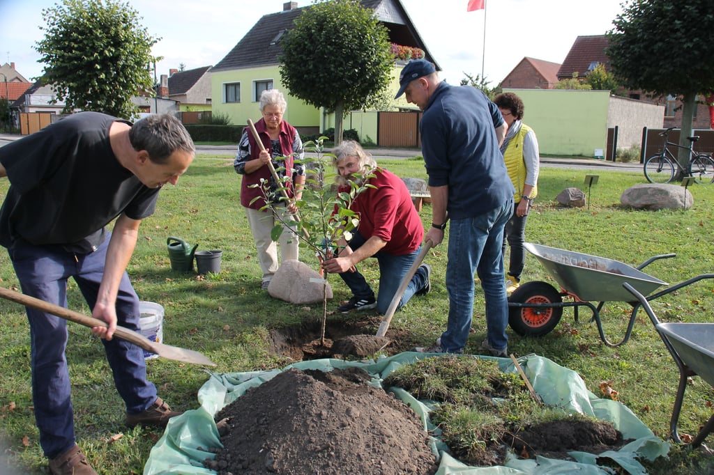Mitglieder des Kultur- und Geschichtsvereins "Grenzland" pflanzen auf dem sogenannten "Franz-Langer-Platz" in Cobbel den Apfelbaum, den sie im Rahmen des Wettbewerbs "Unser Dorf hat Zukunft" für ihren Ort erhalten haben.