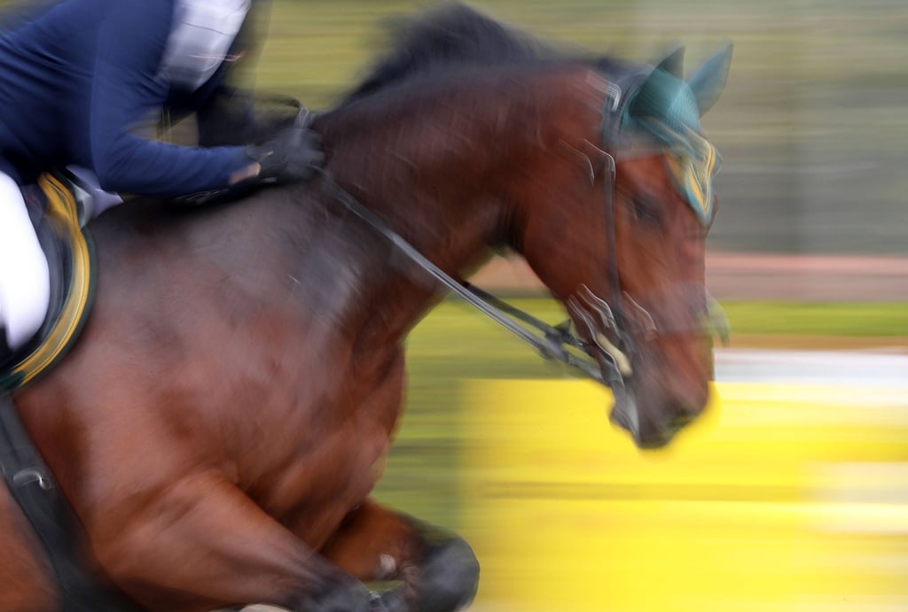 Reiten