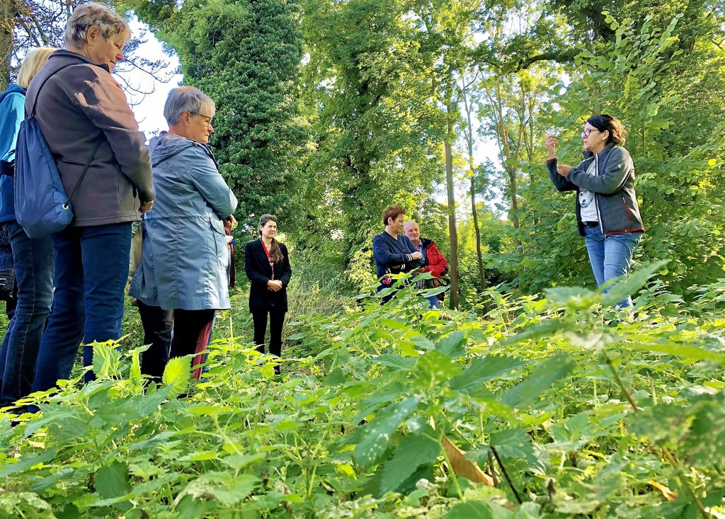Kräuterfrau Simone Detto (re.) erklärt den Teilnehmern der Kräuterwanderung, für was sich die Brennnessel als Heilmittel eignet.