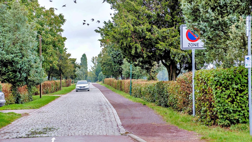 Im Zedernweg in Wörlitz sollte besser nicht geparkt werden.