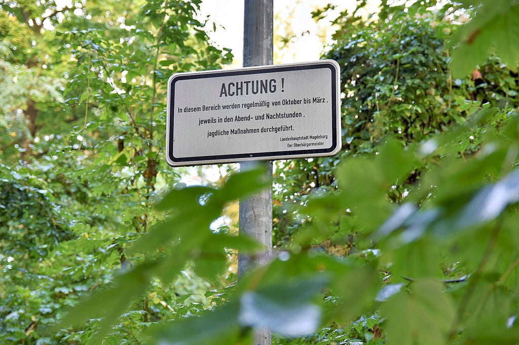 Ein Schild warnt im Magdeburger Stadtpark vor „jagdlichen Maßnahmen“.