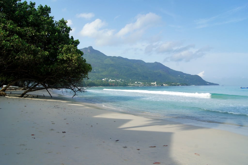 Die Seychellen sowie Anguilla und Dominica werden nun „Annex II“ der Liste der Steueroasen aufgeführt - sie steht für Gebiete, die in Steuersachen nicht kooperieren, aber Reformen versprochen haben.