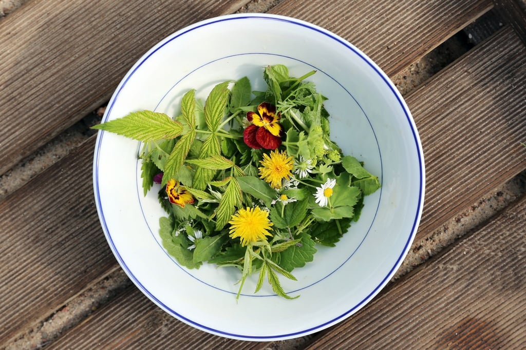 Bunte Tupfer auf dem Teller: Blüten verleihen einem Wildkräuter-Salat ein schönes Aussehen und ein besonderes Aroma.
