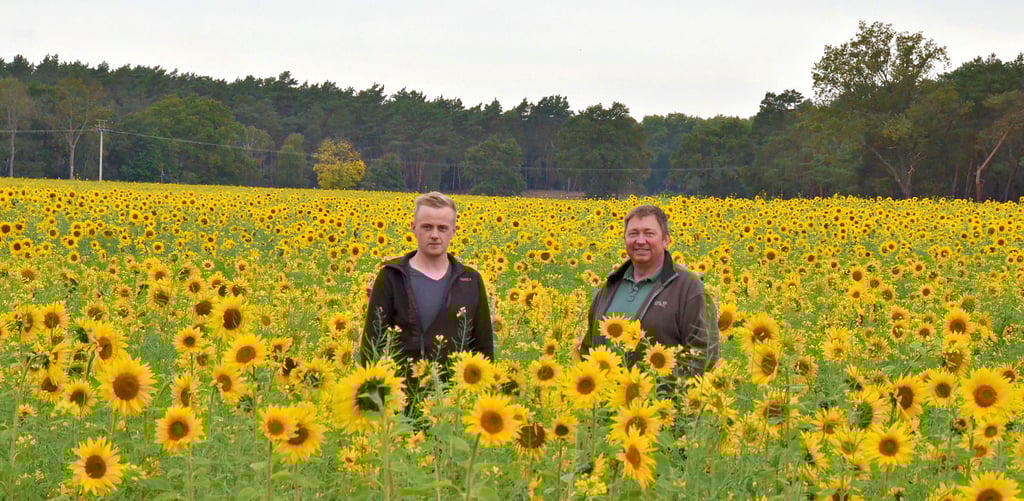 Die Landwirte Hubert und Tom Aselmeyer im acht Hektar großen Blumenfeld am von Molkenberg nach Rehberg führenden Radweg.
