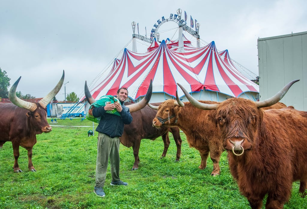 Junior-Chef Gitano Frank vor dem Zelt mit afrikanischen Watusi Rindern, Texas Longhorns und Highland Rindern.