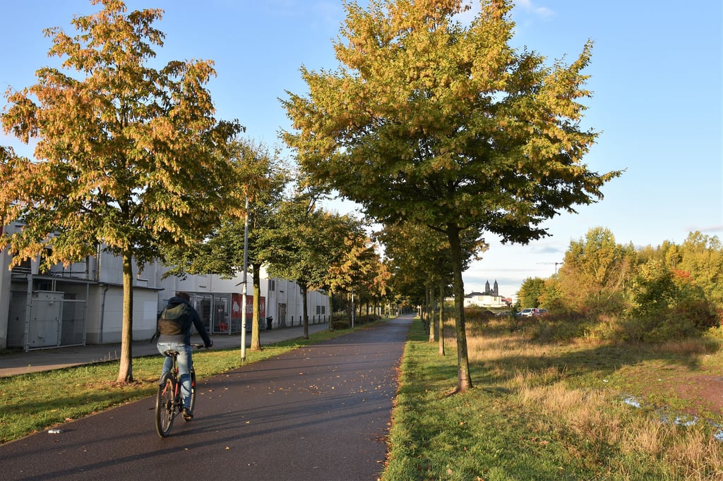 Dem Magdeburger Dom entgegen kann man auf dem Radweg entlang der Kanonenbahn fahren.