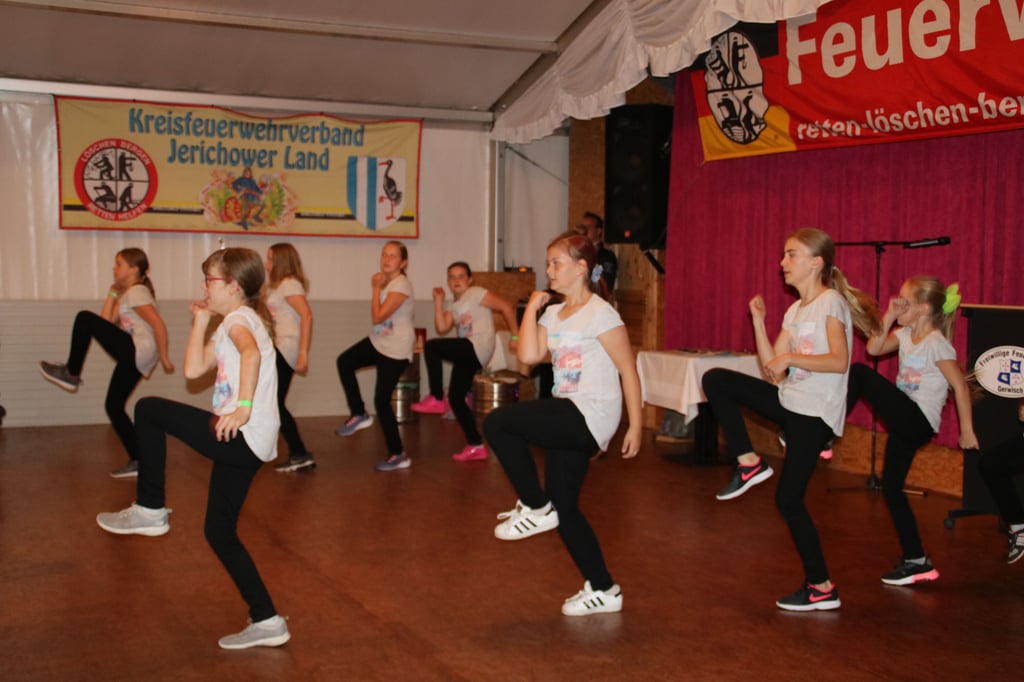 Sowohl die Firebabys als auch die Firegirls, Tanzgruppen der Ortsfeuerwehr Gerwisch, umrahmten die Festsitzung zum 110. Geburtstag der Feuerwehr mit ihren Tänzen.
