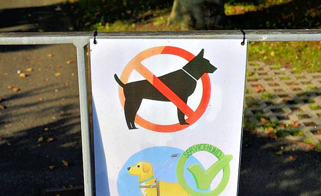 Derzeit dürfen nur Servicehunde auf den Friedhof, keine anderen Vierbeiner.