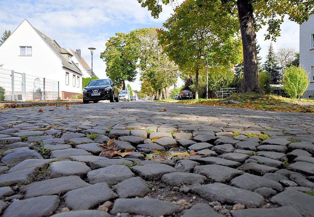 Die Schulzenstraße wird in diesem Abschnitt saniert. Im Herbst sollen die Bäume gefällt werden.
