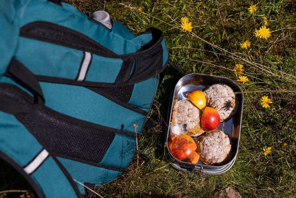 Kinder von fünf bis zwölf Jahren können im Nationalpark Schwarzwald Juniorranger sein. In kleinen Gruppen lernen sie Grundlegendes über die Natur und Tiere.