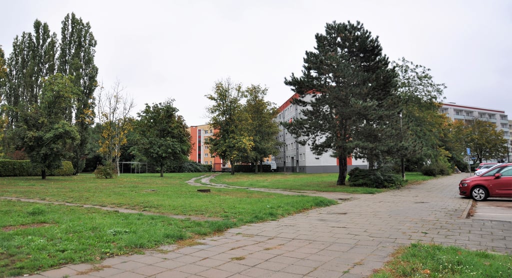 Auf der Grünfläche am Zerbster Wegeberg könnte ein Seniorenwohnpark entstehen.