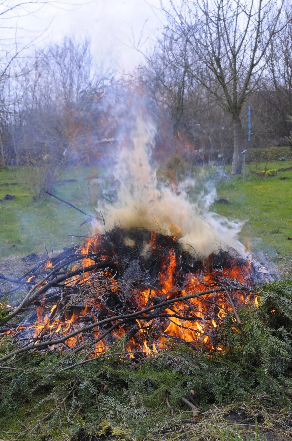Symbolfoto - Gartenabfälle werden verbrannt