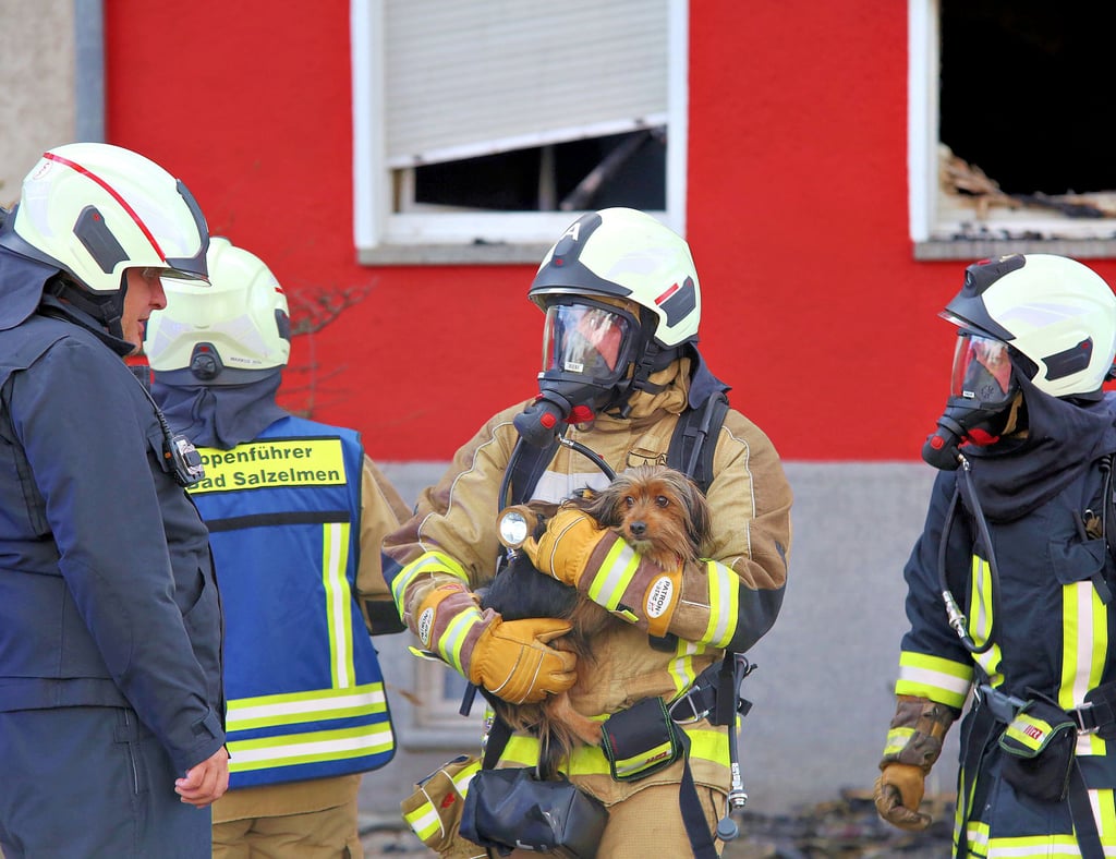 Rührende Szene: Ein Feuerwehrmann trug den Yorkshire Terrier aus dem brennenden Haus ind er Leipziger Straße. Wenige Momente später kann seine Besitzerin ihn in die Arme schließen.