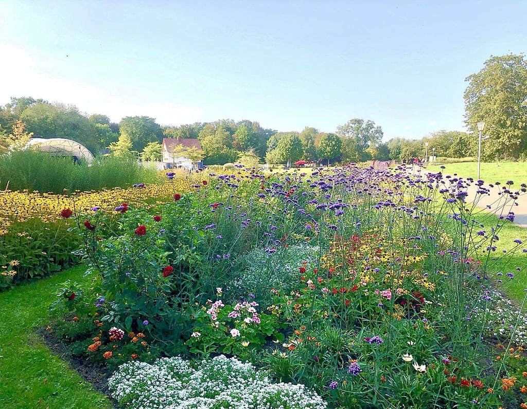 Die Anlage der ersten Landesgartenschau Sachsen-Anhalts im Jahr 2004 glänzt auch 17 Jahre später noch mit einer farbenprächtigen und gepflegten Bepflanzung. Die Wechselflorbeete zeigen jetzt die ganze Pracht des Herbstes, während das Laub sich zu färben beginnt.