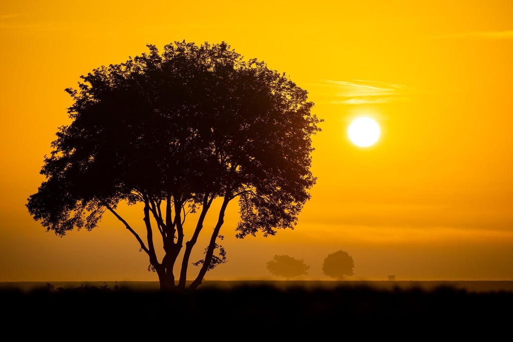 Goldener Oktober: Das Wochenende wird sonnig.
