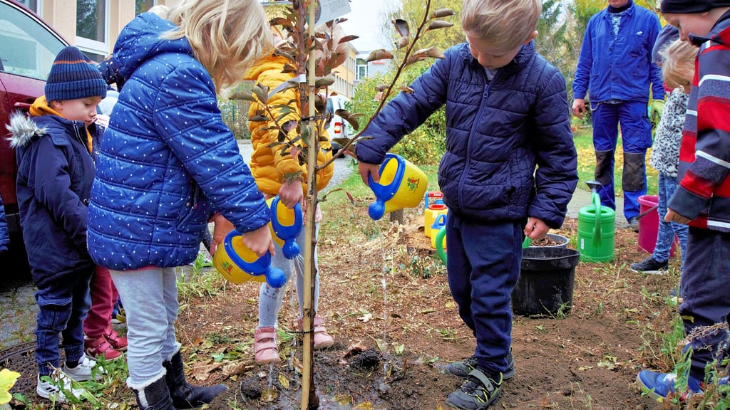 Es gibt Zuwachs für die Obstwiese im Kindergarten in Aschersleben